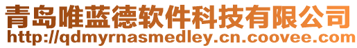 青島唯藍德軟件科技有限公司