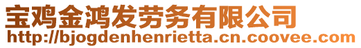 寶雞金鴻發(fā)勞務(wù)有限公司