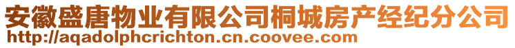 安徽盛唐物業(yè)有限公司桐城房產(chǎn)經(jīng)紀(jì)分公司