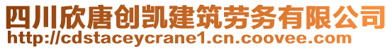 四川欣唐創(chuàng)凱建筑勞務(wù)有限公司