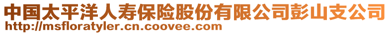 中國太平洋人壽保險股份有限公司彭山支公司