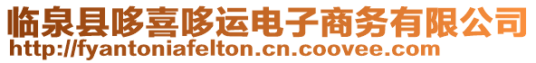 臨泉縣哆喜哆運(yùn)電子商務(wù)有限公司