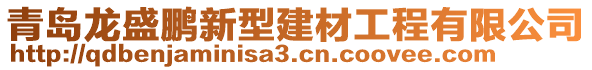 青島龍盛鵬新型建材工程有限公司