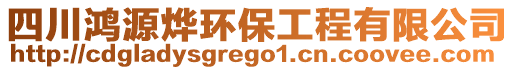 四川鴻源燁環(huán)保工程有限公司