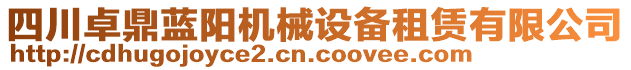 四川卓鼎藍(lán)陽(yáng)機(jī)械設(shè)備租賃有限公司