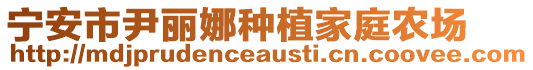 宁安市尹丽娜种植家庭农场