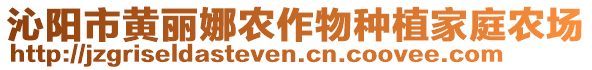 沁陽市黃麗娜農(nóng)作物種植家庭農(nóng)場