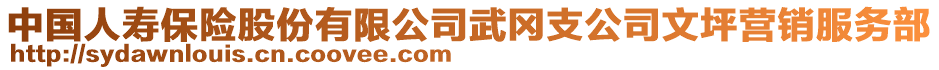 中國人壽保險(xiǎn)股份有限公司武岡支公司文坪營銷服務(wù)部