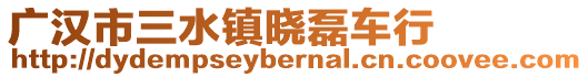 廣漢市三水鎮(zhèn)曉磊車行