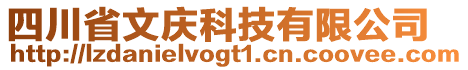 四川省文慶科技有限公司