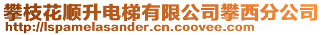 攀枝花順升電梯有限公司攀西分公司