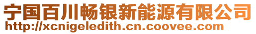 宁国百川畅银新能源有限公司