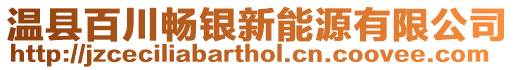 溫縣百川暢銀新能源有限公司