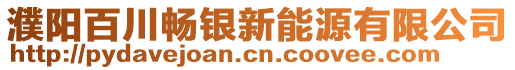 濮陽(yáng)百川暢銀新能源有限公司