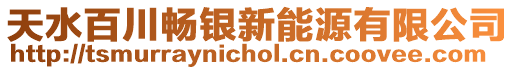 天水百川暢銀新能源有限公司