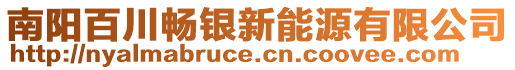 南阳百川畅银新能源有限公司