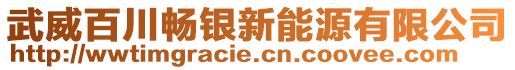 武威百川暢銀新能源有限公司