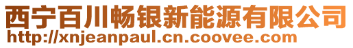 西宁百川畅银新能源有限公司