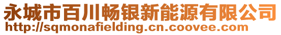 永城市百川暢銀新能源有限公司