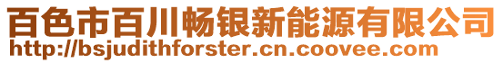 百色市百川暢銀新能源有限公司