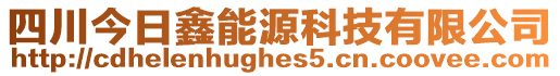 四川今日鑫能源科技有限公司