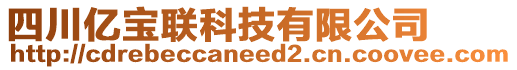 四川億寶聯(lián)科技有限公司