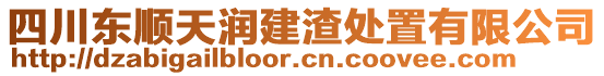 四川東順天潤建渣處置有限公司