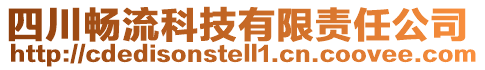 四川暢流科技有限責(zé)任公司