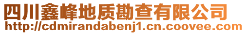 四川鑫峰地质勘查有限公司