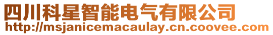 四川科星智能电气有限公司