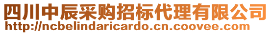 四川中辰采購招標代理有限公司