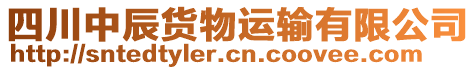 四川中辰貨物運(yùn)輸有限公司