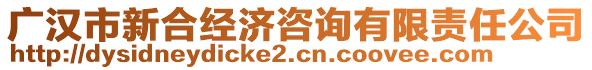 廣漢市新合經(jīng)濟(jì)咨詢有限責(zé)任公司