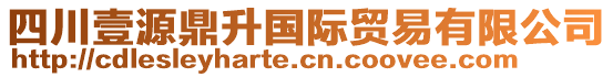 四川壹源鼎升國(guó)際貿(mào)易有限公司