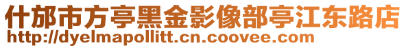 什邡市方亭黑金影像部亭江東路店