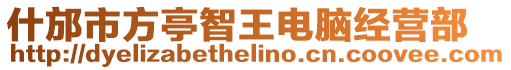 什邡市方亭智王電腦經營部