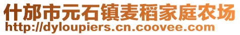 什邡市元石鎮(zhèn)麥稻家庭農(nóng)場(chǎng)