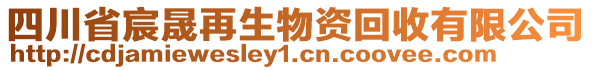 四川省宸晟再生物資回收有限公司