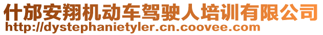 什邡安翔機(jī)動(dòng)車駕駛?cè)伺嘤?xùn)有限公司
