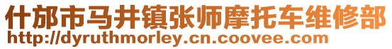 什邡市馬井鎮(zhèn)張師摩托車維修部