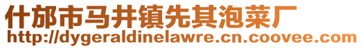 什邡市马井镇先其泡菜厂