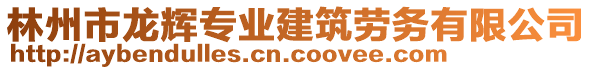 林州市龍輝專業(yè)建筑勞務有限公司