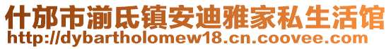 什邡市湔氐鎮(zhèn)安迪雅家私生活館