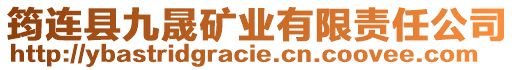 筠連縣九晟礦業(yè)有限責(zé)任公司