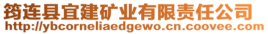 筠連縣宜建礦業(yè)有限責(zé)任公司