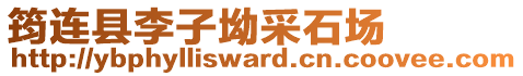 筠連縣李子坳采石場