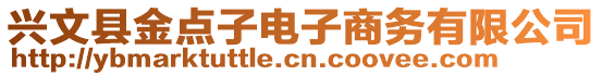 興文縣金點子電子商務有限公司