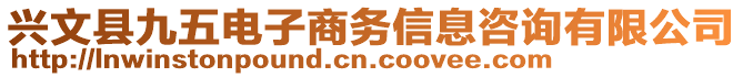 興文縣九五電子商務(wù)信息咨詢有限公司