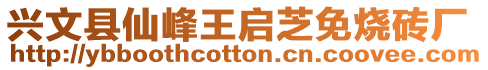 興文縣仙峰王啟芝免燒磚廠