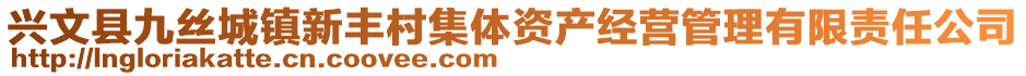 興文縣九絲城鎮(zhèn)新豐村集體資產(chǎn)經(jīng)營管理有限責(zé)任公司